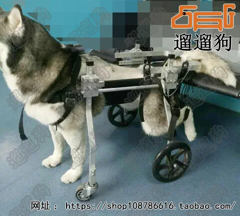 font b Disabled b font pet font b wheelchair b font large dog scooter paralyzed