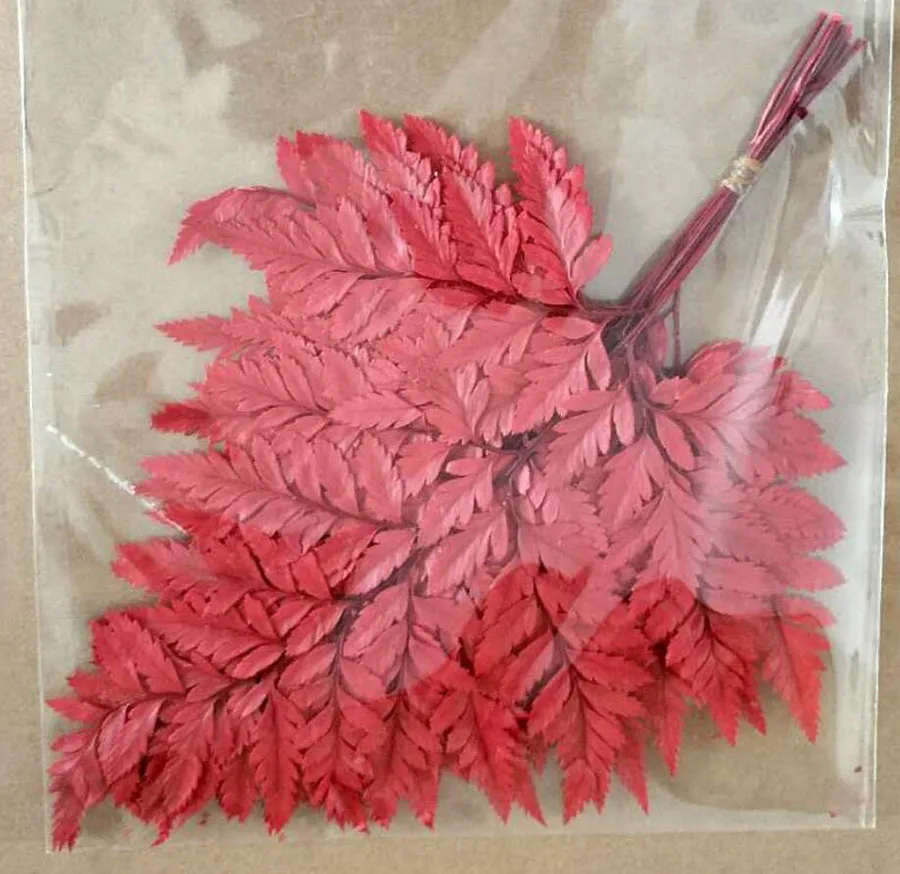--red