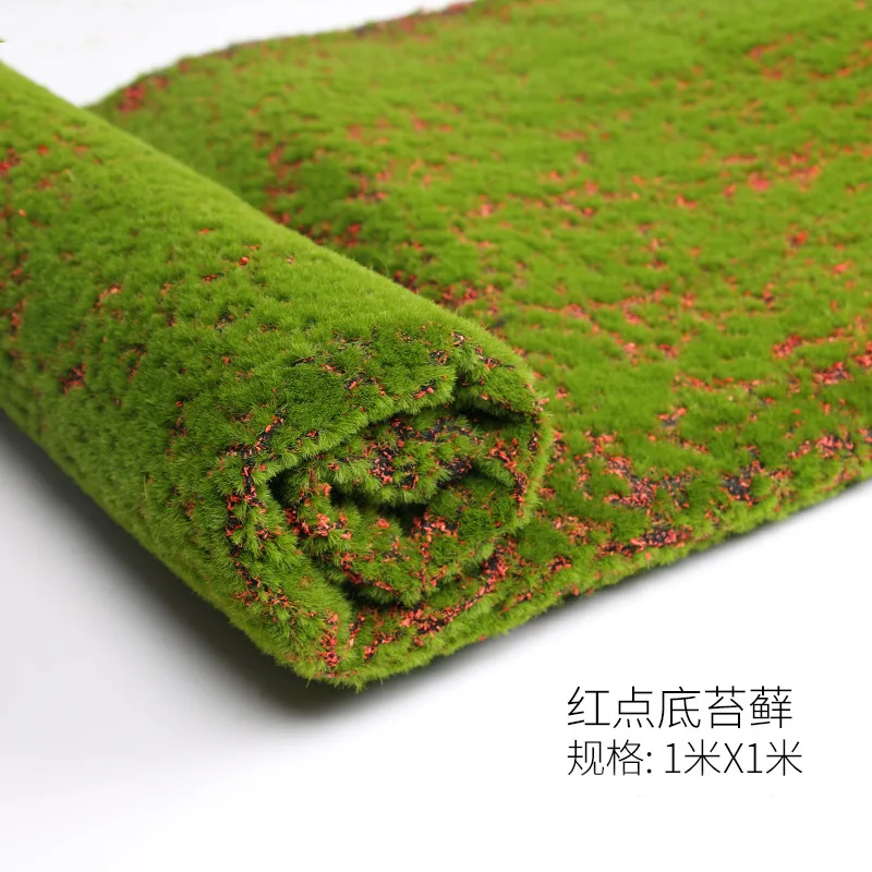 7293944226_1617904826