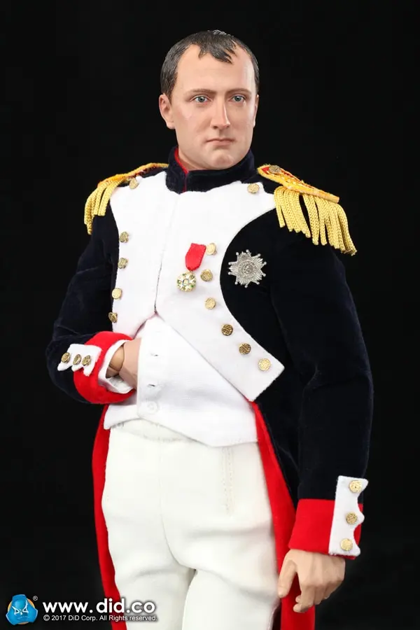 Buy dissertation napoleon