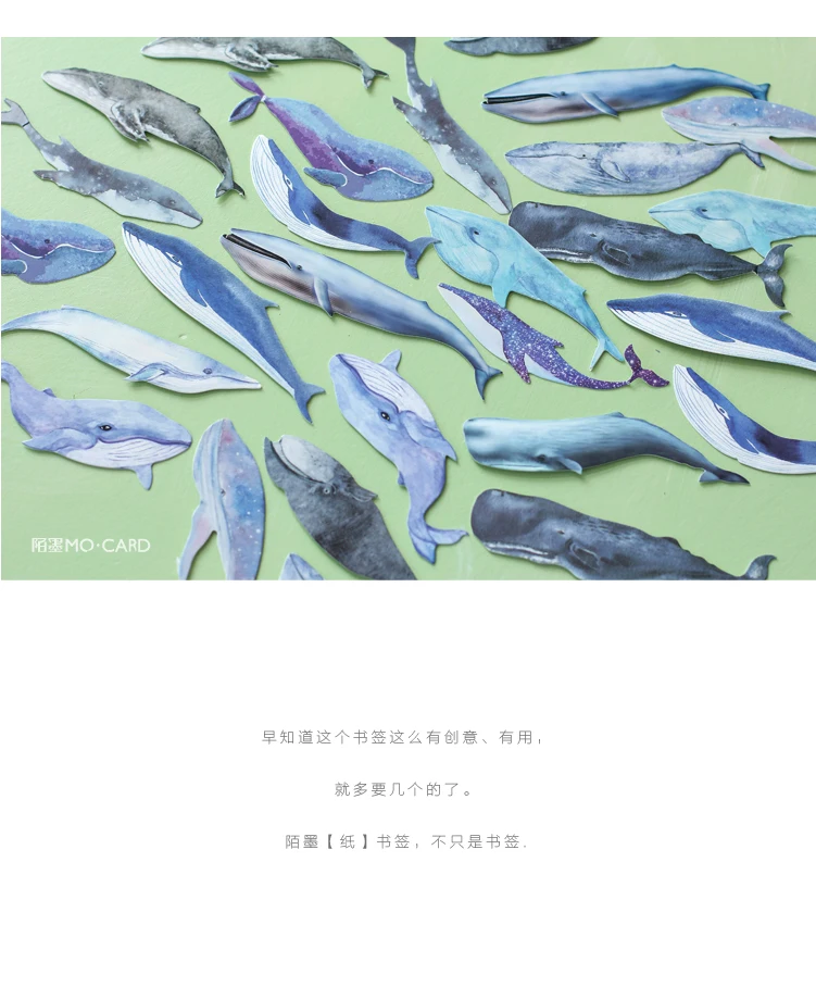 TB2R3rWXhwb61BjSZJiXXbD3XXa_!!33971588