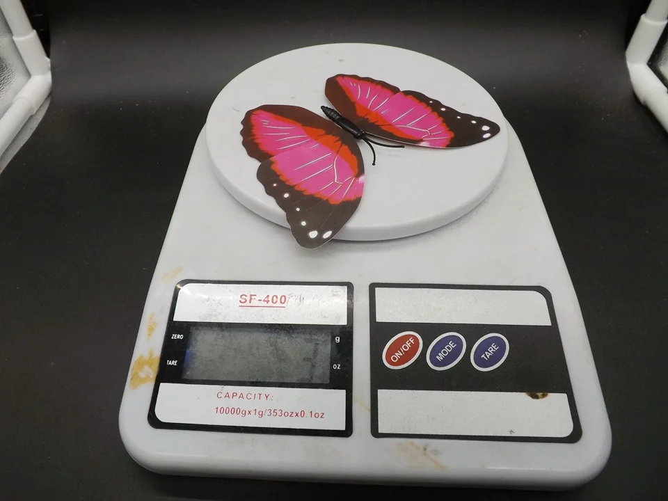 I235-Butterfly (14)