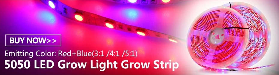 Luzes LED crescimento plantas