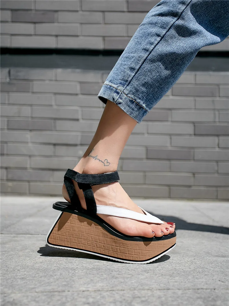 PU2A4224