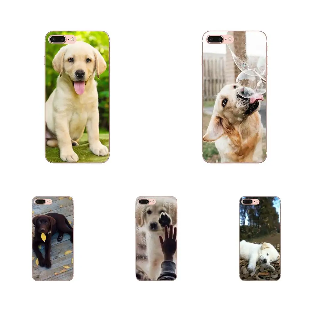 Soft Coque For Galaxy A3 A5 A7 A8 A9 A9S On5 On7 Plus Pro Star 2015 2016 2017 2018 Labrador Puppies Dog | Мобильные телефоны и