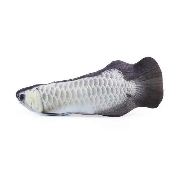 Image 11
