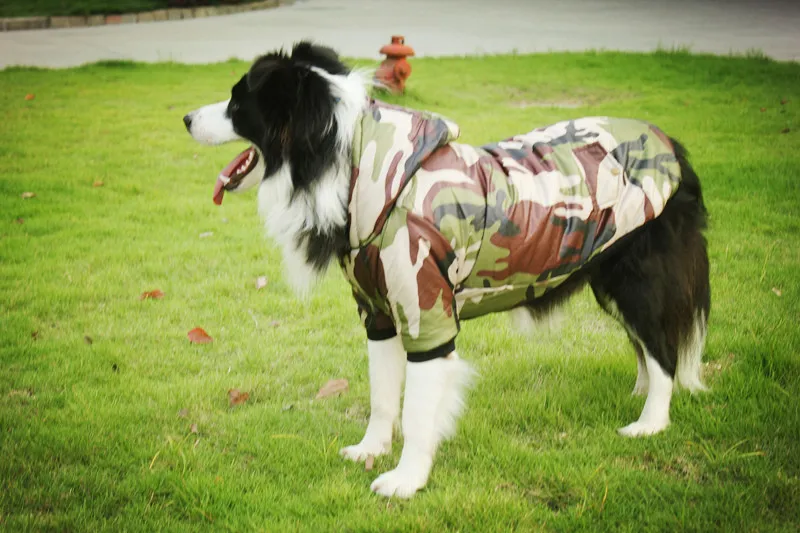 Y120_New_Winter_Big_Dog_Pet_cotton_Clothes_Camouflage_Padded_2_legs_Costume_Coats_for_Border_Collie_Large_dog_clothing_ (4)