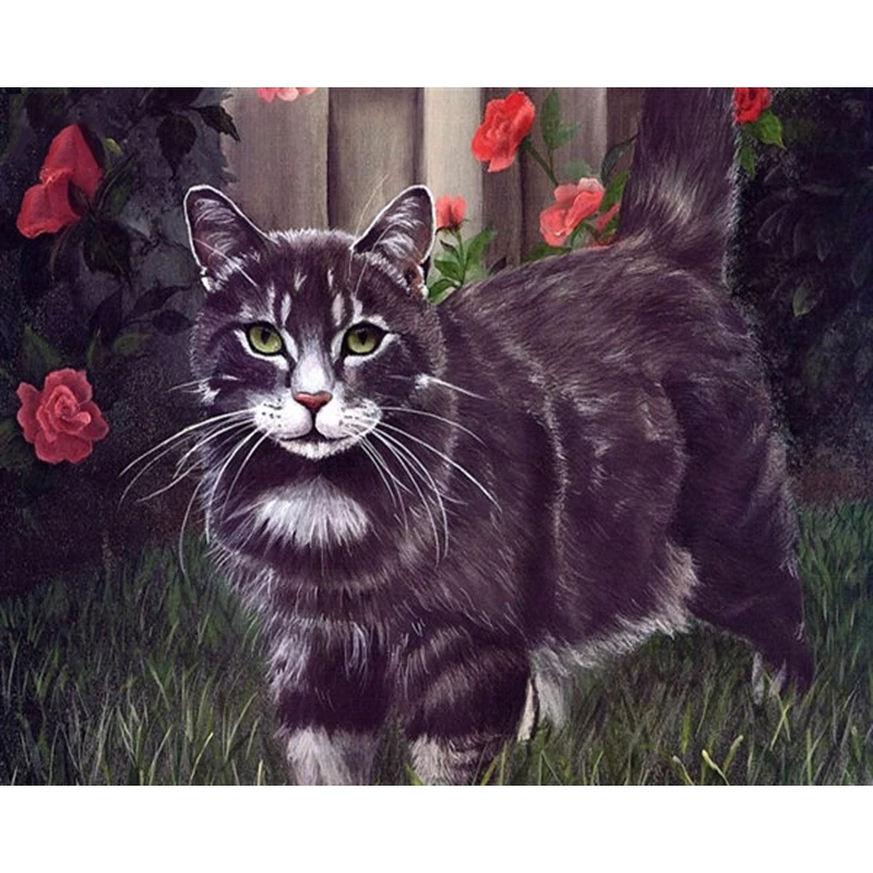 

Black Cat and Flowers DIY Painting By Numbers Kits Animals Paint On Canvas Painting Calligraphy Home Decor Drop Shipping
