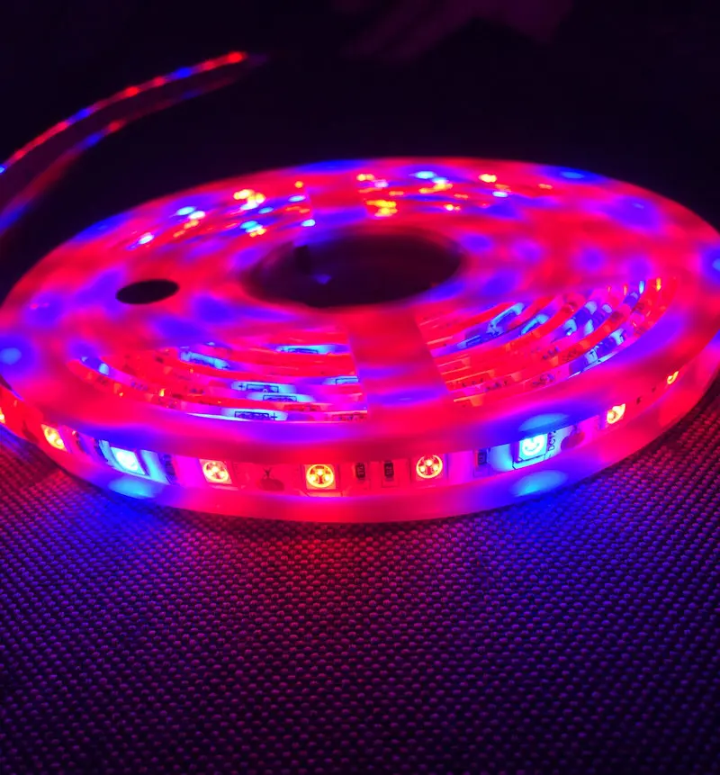 12V 5M 300Leds Full Spectrum SMD5050 LED Strip Light Plant Grow NON