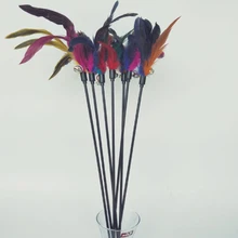 discount cat supplies