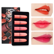 5 шт./компл. LIDEAL набор для губ профессиональный водонепроницаемый нюдовый набор из помад увлажняющий стойкий блеск для губ