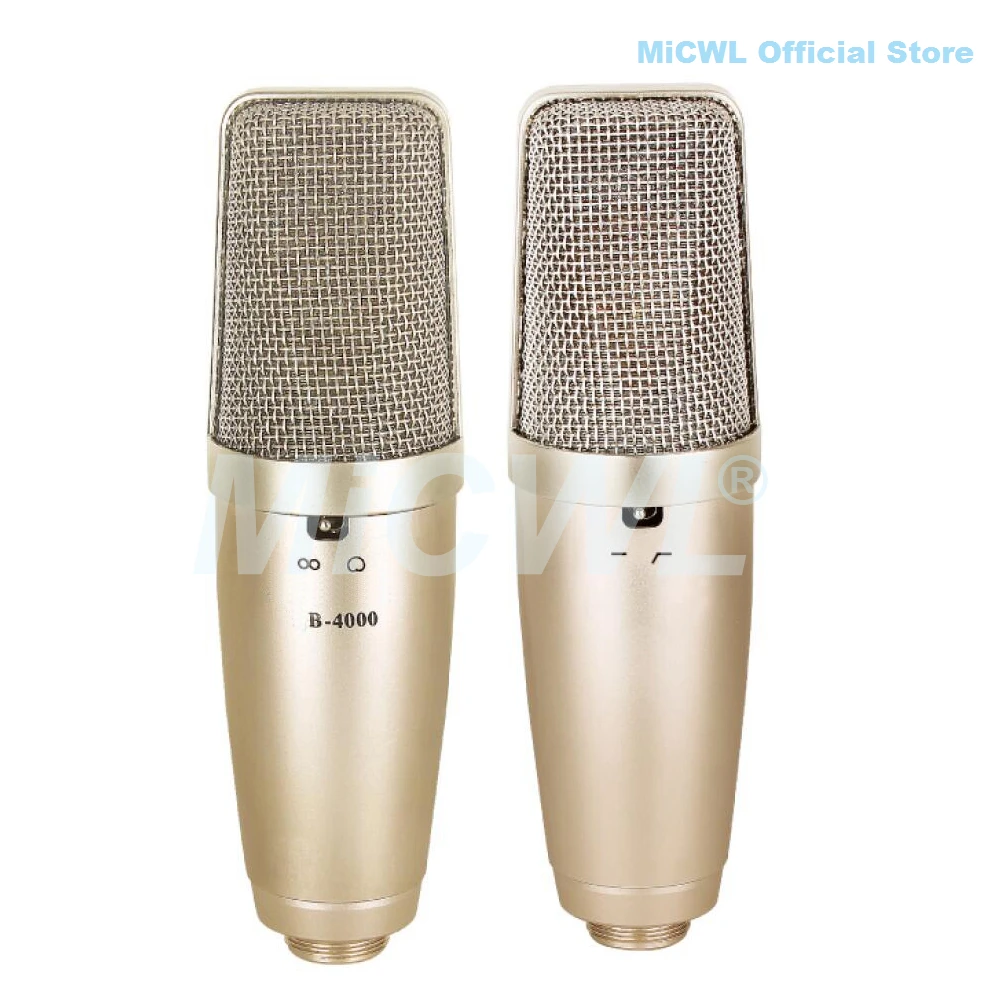 XLR 3Pin Large Diaphragm Cardioid Condenser