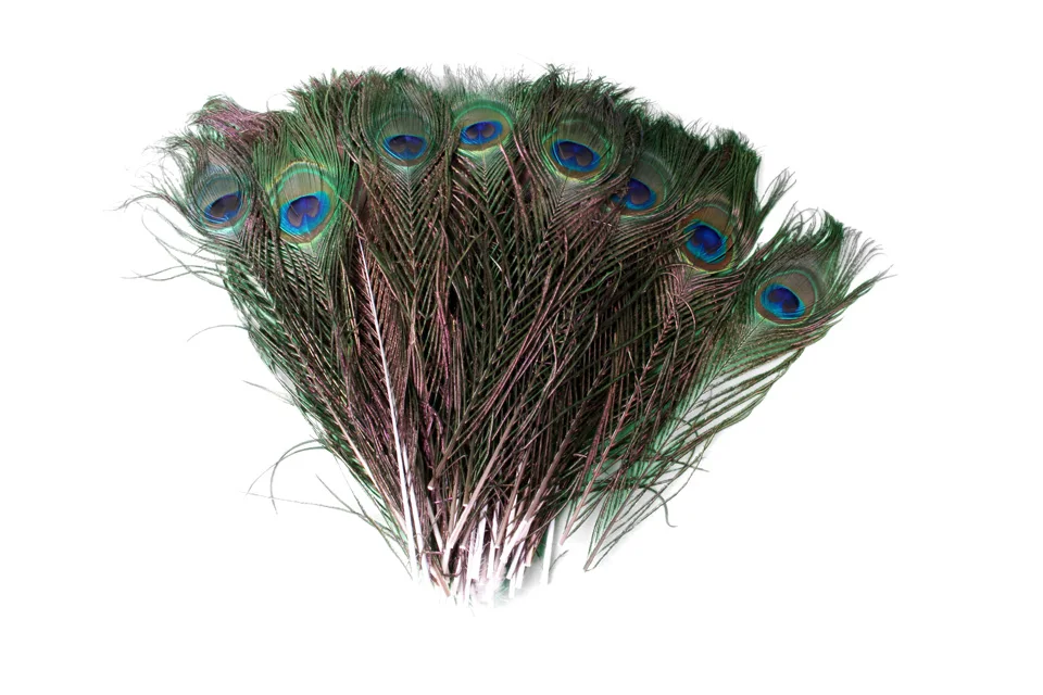 100pcs/lot wholesale 25 30cm 10 12 Inch beautiful natural