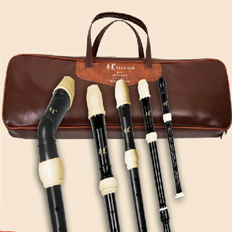 Eastar ERS-1GPu - Flauto Dolce Soprano 8 Fori Chiave Tedesca, 3 Pezzi, Per Bambini E Principianti Con Asta Pulizia E Borsa - Colore Viola - Foto 11