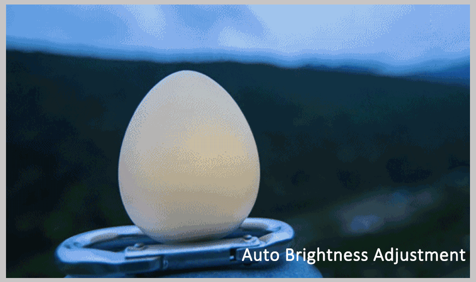 eggie_04