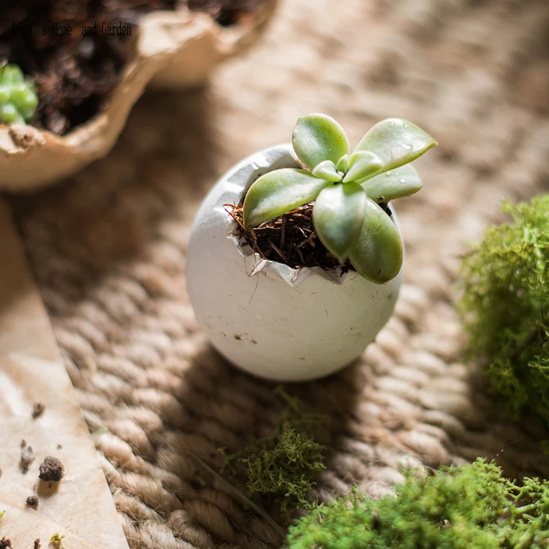 egg design mini decorative pots and planters (3)