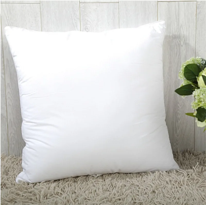 pillow core04