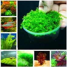 Новинка! 200 шт. подводный водных растений семена Moss аквариумных растений семена травы Fish Tank Пейзаж декоративные Декор