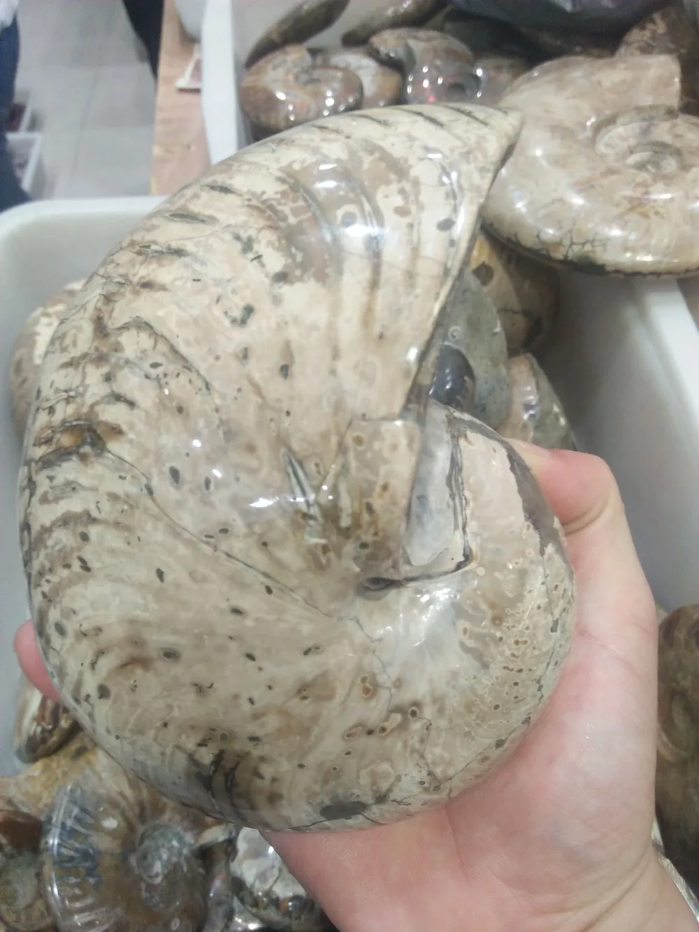 large