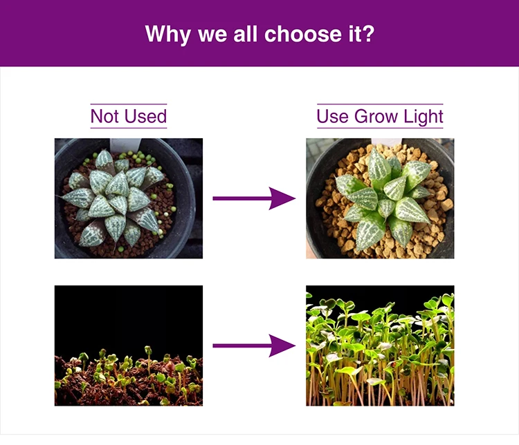LED COB Grow Chip+Lens Reflector_06