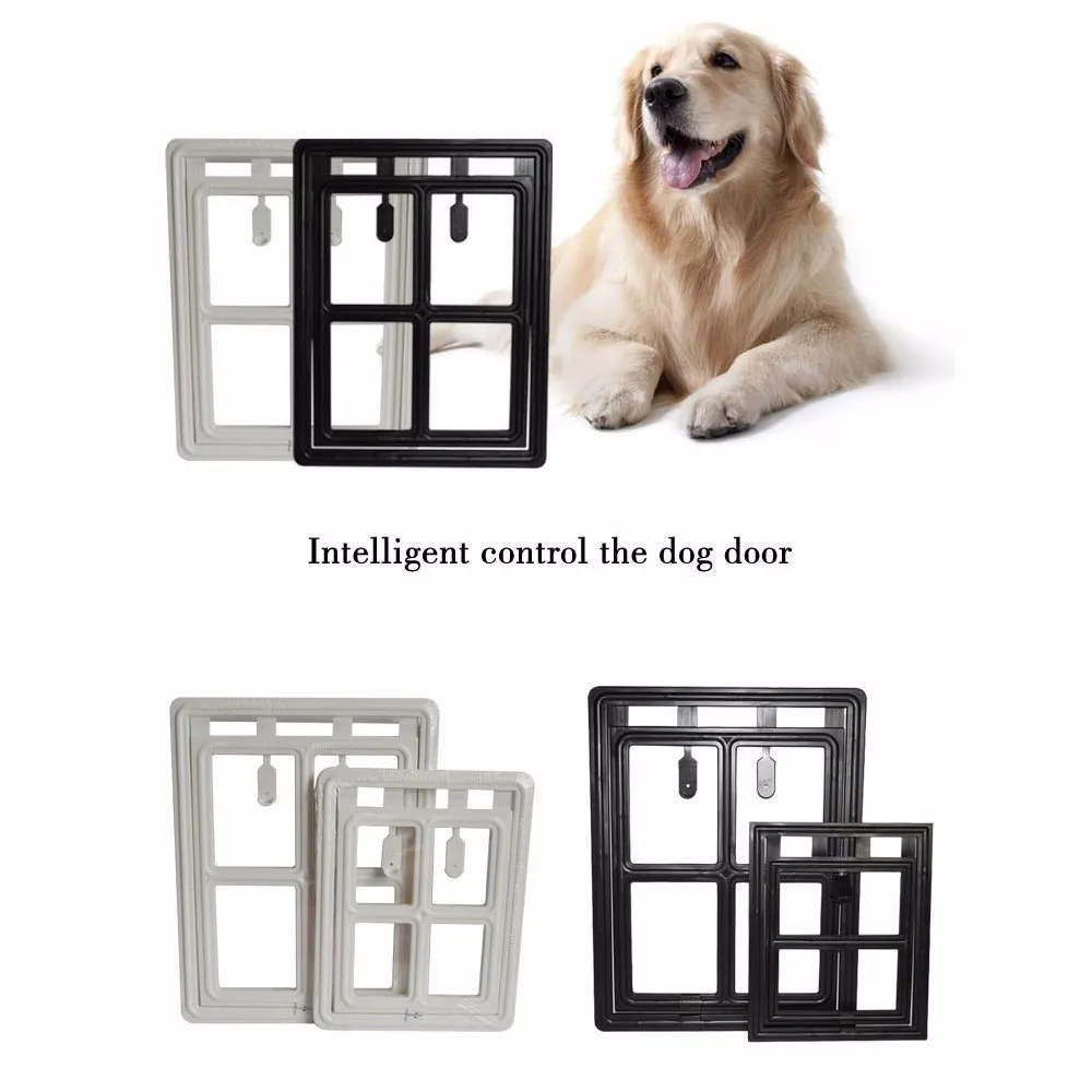 d6