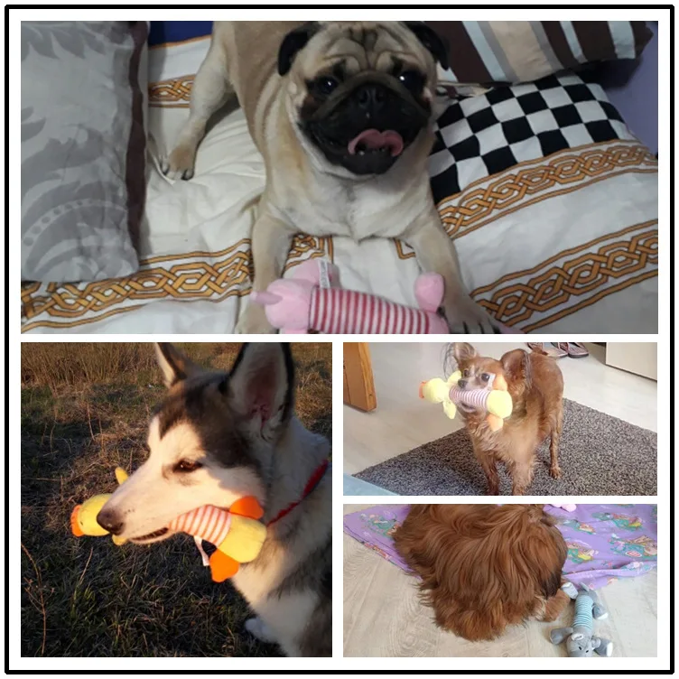 Chew Bite Toys for Dog 5 Chew Bite Toys for Dog 5