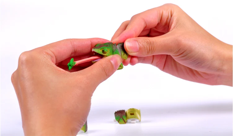 how-to-play-3d-puzzle-02
