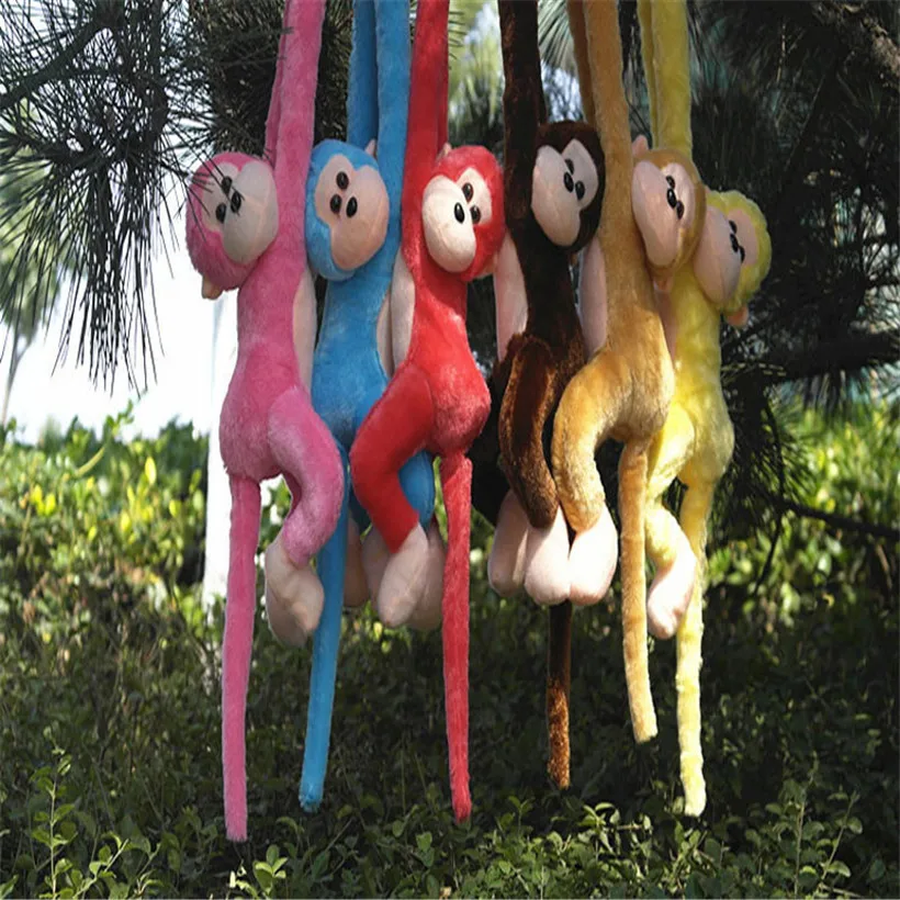 TOY (3)