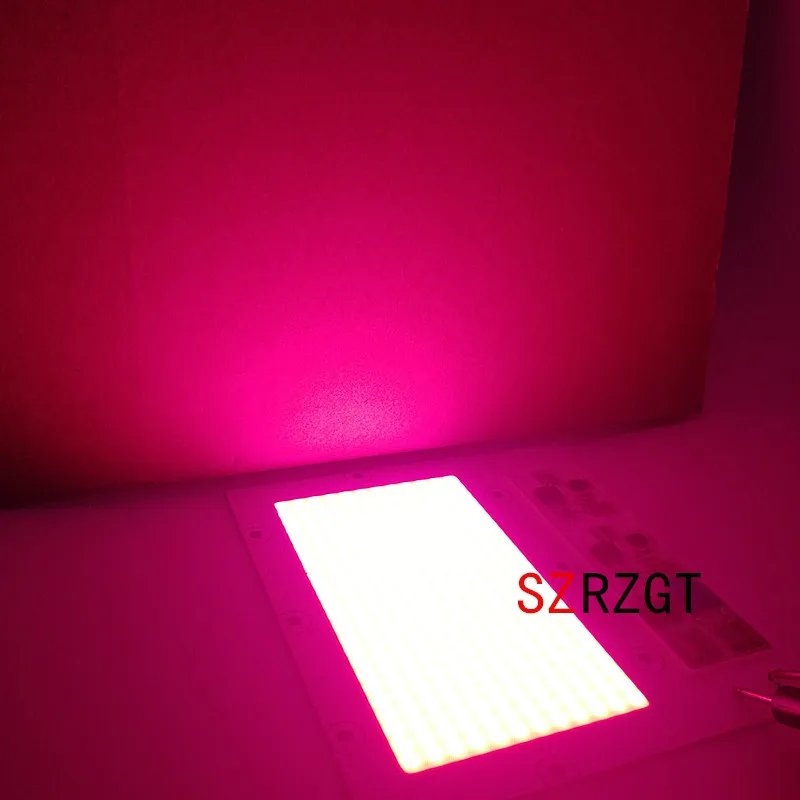 215701BB477CD3DC3FD862D2C8997F66_