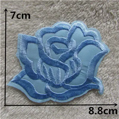 C266 (2)