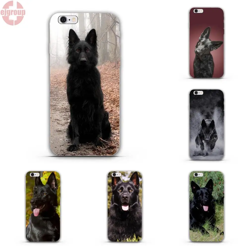 belgian shepherd for sale in pakistan online buy wholesale german shepherd black from china german belgian shepherd for sale in pakistan online buy wholesale german shepherd black from china german