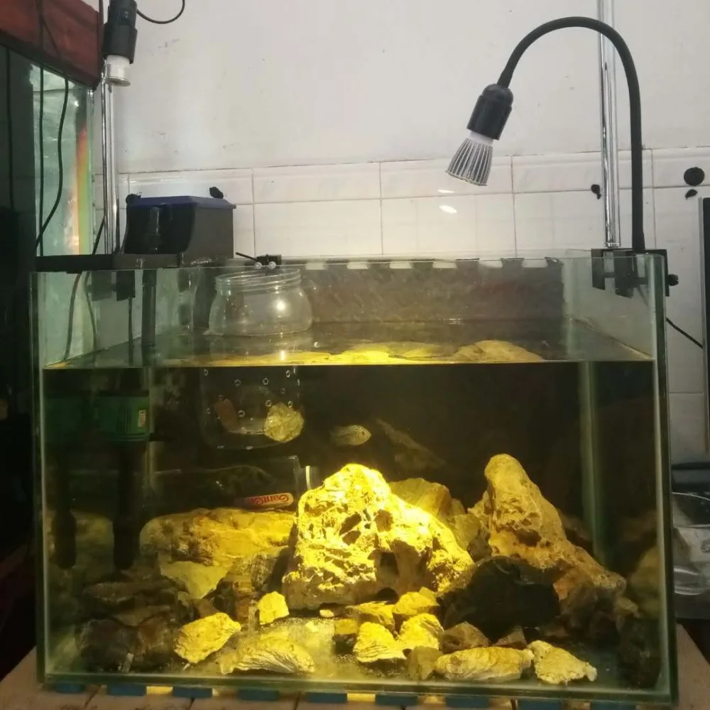 Светодиодное освещение аквариума DIY Мини светодиодный светильник с зажимом E27 держатель лампы Макс 30 мм гусиная шея с зажимом лампы зажим