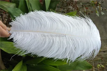 

FREE SHIPPING -100 pcs 20-22inch ostrich feather white plumes for wedding centerpiece christmas decor feather decor table decor