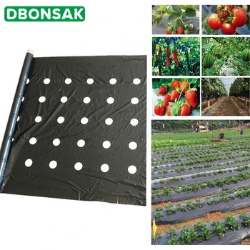 

95cm*50m 5Holes 0.02mm Black Mulch Film Gardening Flower Vegetable Seedling Plants Plastic Perforated PE Film Mulching Membrane