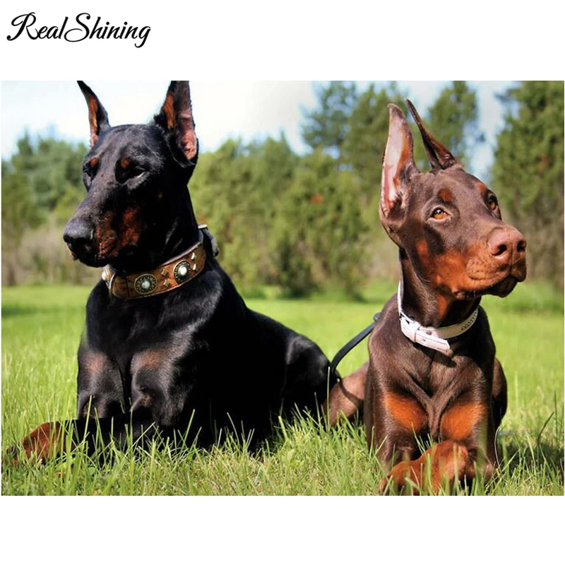 5D DIY Алмазная картина Doberman Pinscher Pet Brothers вышивка краска с бриллиантами мозаика