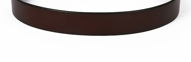 N17FJ534 (10)