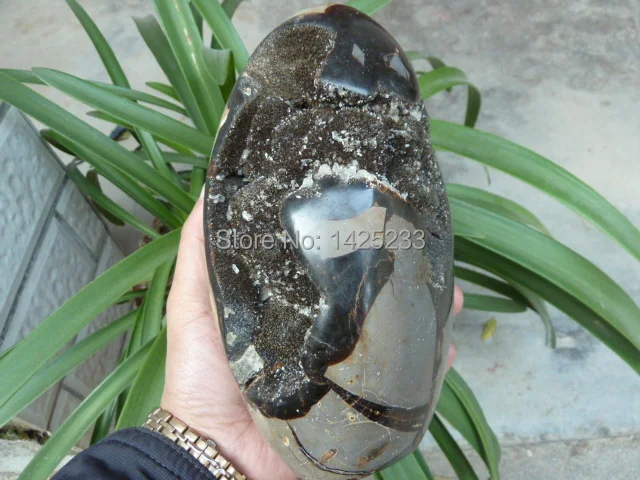 5 натуральный септариевый драгоценный кристалл камень geode минеральный образец