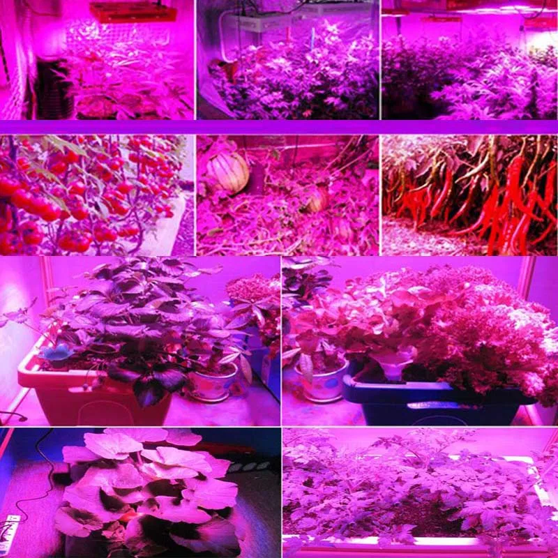 0404 T5 T8 Grow Light Led Bulb Integrated T5 Tube lights lamps  for plants14 (2)