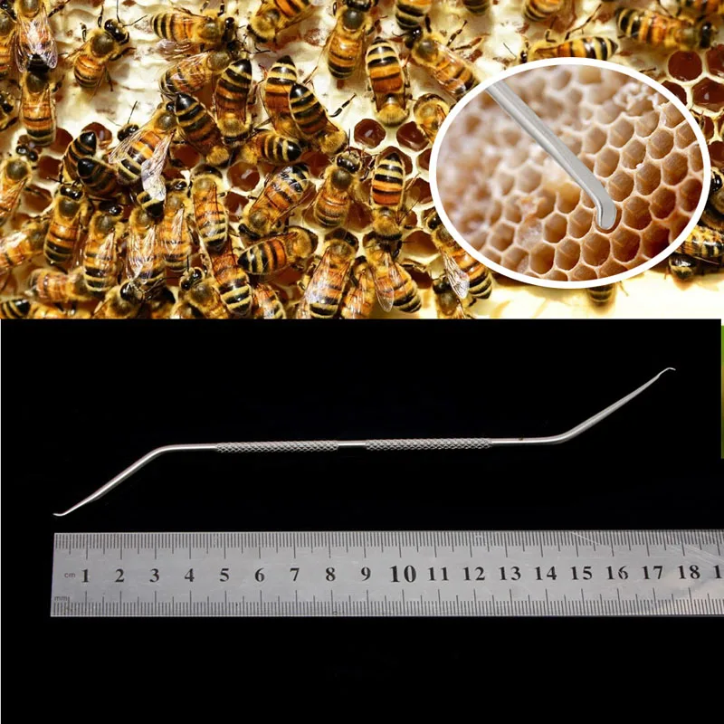 

1Pc Stainless Steel Two-way Grafiting Needle Tools Beekeepers Bee Keeping Tools