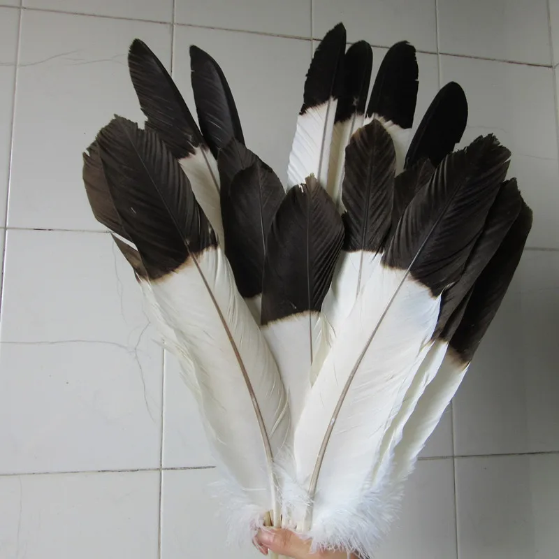 wholesale 100 pcs scare Natural big eagle tail feathers 35 65cm/14