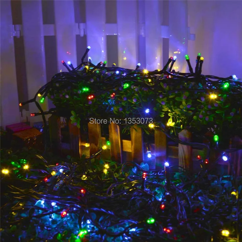 Application of LED string light  for garder decoration.jpg
