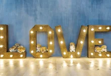 Laeacco Cães do Amor Luzes Piso De Madeira Backdrops Para Estúdio de Fotografia Fotografia Fundos Fotográficos Personalizados