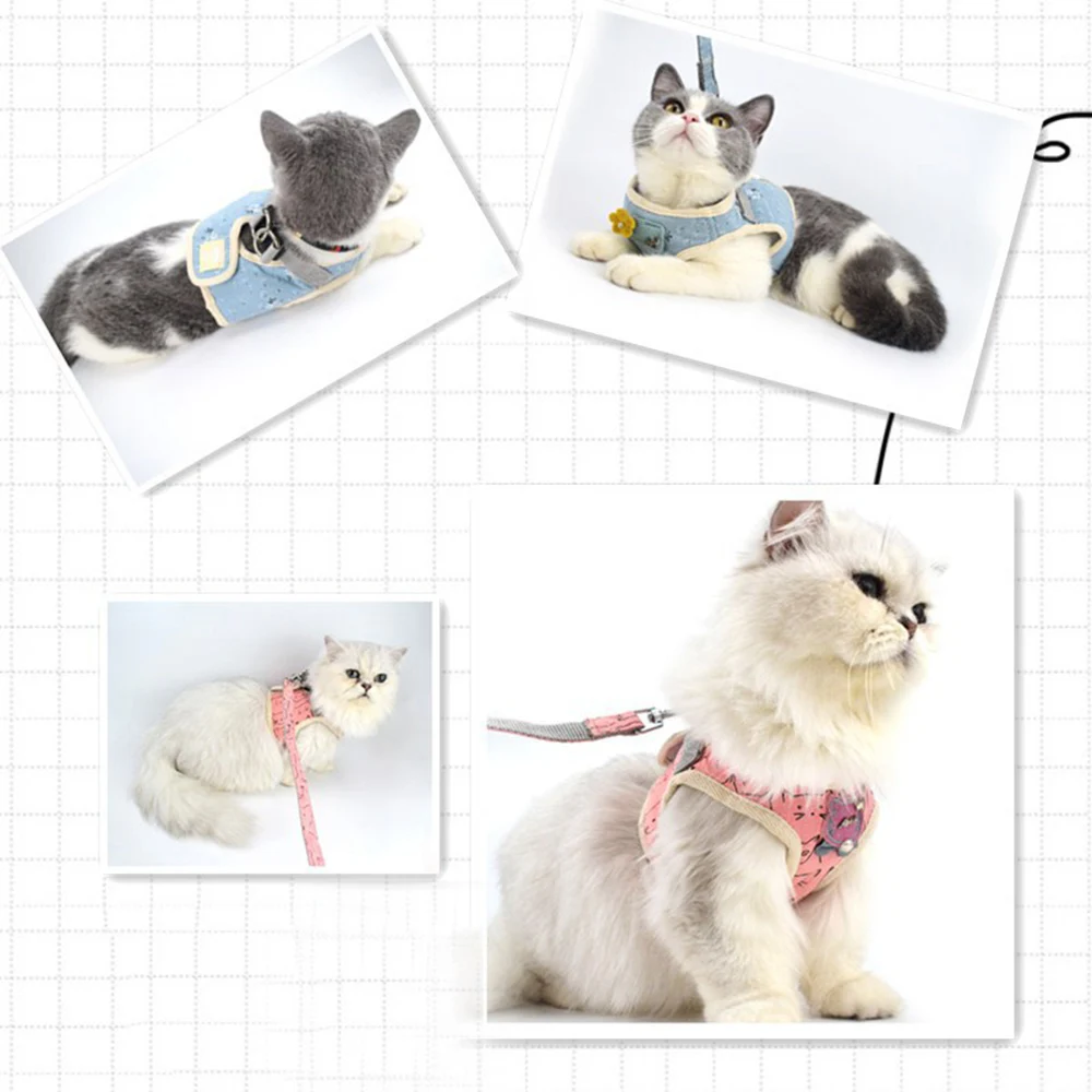 small harness for small dogs