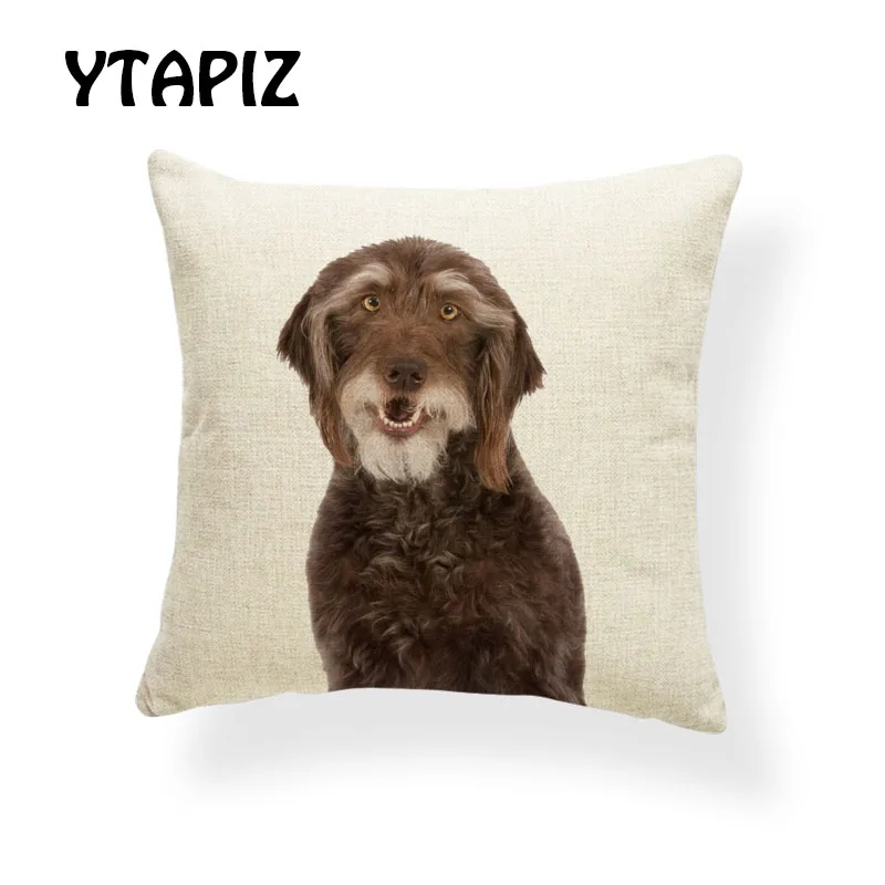 Роскошный питомец МАЛЬТИЙСКАЯ Собака Basset Beagle Schnauzer Shepherd золотистый ретривер