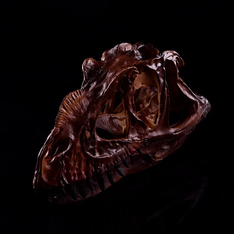 Realistic Dinosaur Skull Ceratosaurus Head Skeleton Model Drawing Class