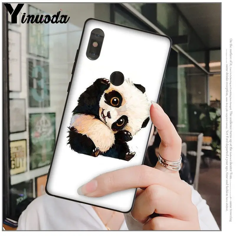 cute panda