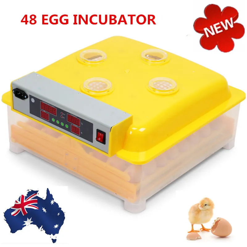 

New Automatic Incubator 48 Eggs Mini Incubator Poultry Equipment Chicken Duck Goose Bird Incubation Tools