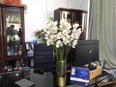 72 см 3D печать Новое поступление whelan Орхидея Азия Орхидея Настоящее прикосновение цветок