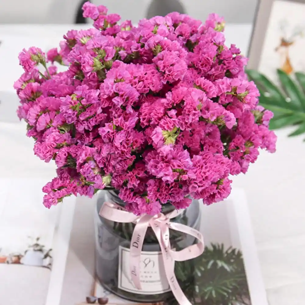 45cm 500g forget-me-not dry flower flowers for