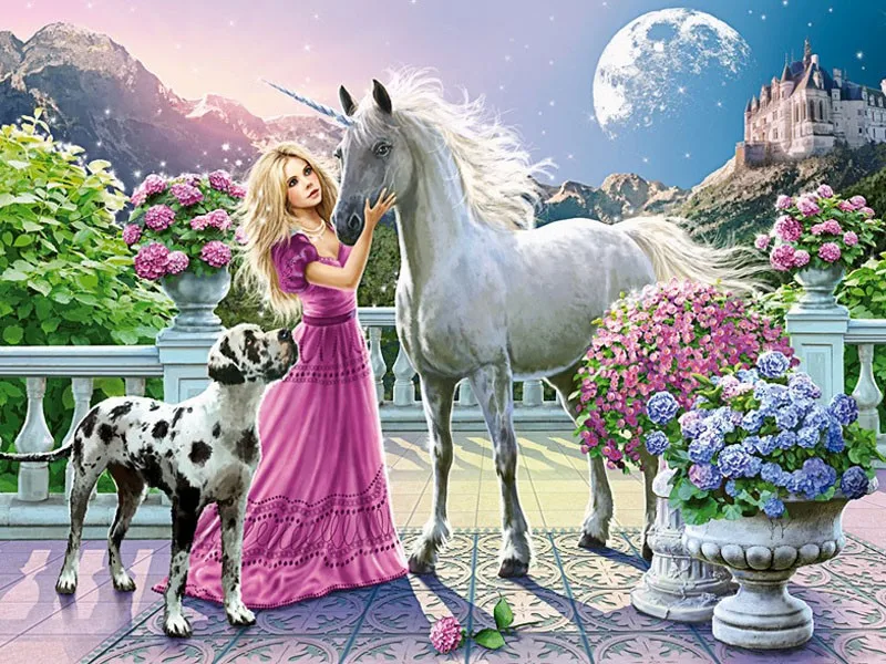 HTB1NEyNNpXXXXboXXXXq6xXFXXX4